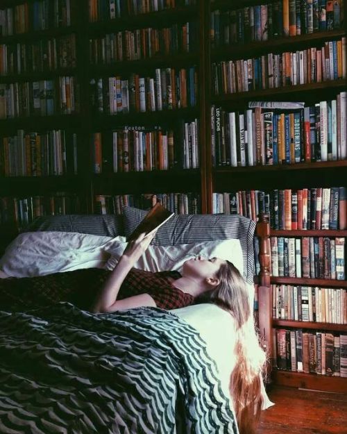 vicloud:Books in a room?Perfect idea!!!