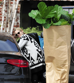 Fyeahgleeclub:  Dianna Seen At A Rolling Greens Nursery Buying A Huge Plant