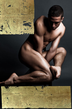 CHERUB (SAMUEL) gold series - contort and