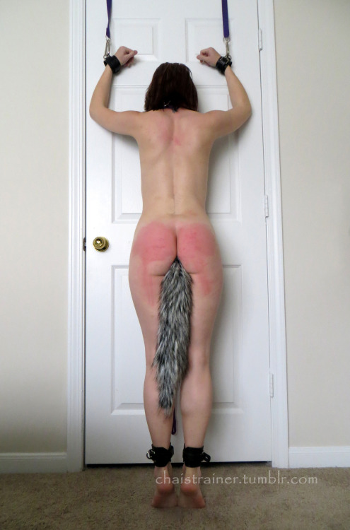 sirsplayground:  Hands over head… slave chai waiting Trainer  Thank you for your submission. Very sexy marks. Sir 