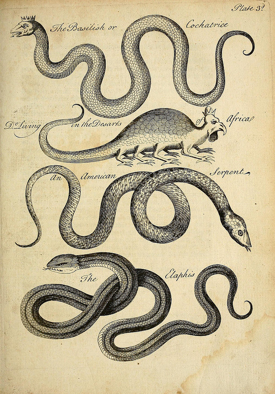 buriedthings:  Charles Owen, An essay towards a natural history of serpents, 1742.