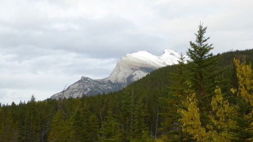 Rundle Mt. Banff National Park, Photos Credit Barbara Bickel