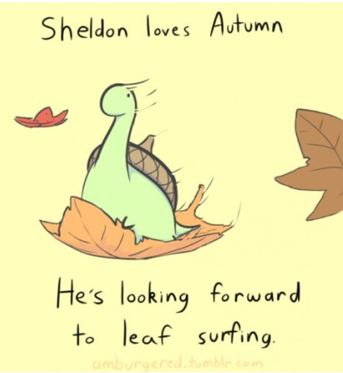 littlealpacacutie:  theperfectblogforlittles:  Reposting because I love Sheldon.  Sheldon! 