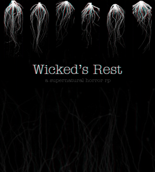 even Wicked things must Rest…S E A S O N    T H R E E  :   R O O T SIn a sleepy town renowned for its death rate and little else, an underground network of supernatural beings has made White Crest, Maine their home and hunting ground. Most folks are happily oblivious to the danger, but recently that danger is growing. Strange occurrences known as The Horrors have resurfaced after laying dormant for centuries, while something else continues to claw its way up from the dirt of Wicked’s Rest. And it’s nothing like the monster under your bed. These are Horrors one might not wake up from.WICKEDS REST is an original, literate supernatural/horror-themed roleplay influenced by folklore, Stephen King, BTVS, The Witcher, Being Human, and more. We have a mix of skeletons and bios, with rich lore to help drive plots and room for your creativity.————We accept 2 apps every Saturday, there is no better time for you to apply! #supernatural rp#town rp#lsrpg#skeleton rp#original rp#bio rp#established rp#lsrp