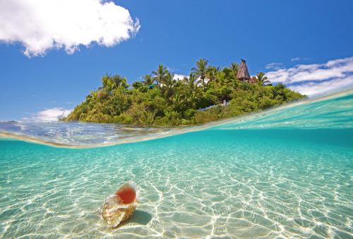 attente-tourmente:  emptythetanks:  nubbsgalore:  photos by chris mclennan in french polynesia, where water visibility can stretch for almost two hundred feet (see also: previous fish posts and shark posts)  Yes please   Ugh I need to go here