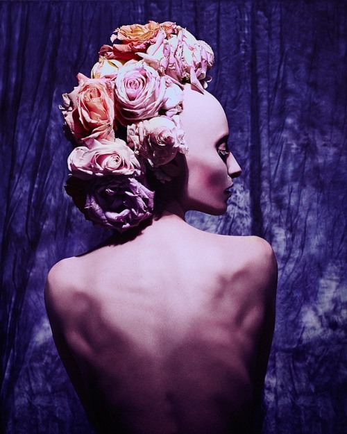 Flowerscans by Elizaveta Porodina Source: www.inspirefirst.com/2014/02/06/flowerscans-el