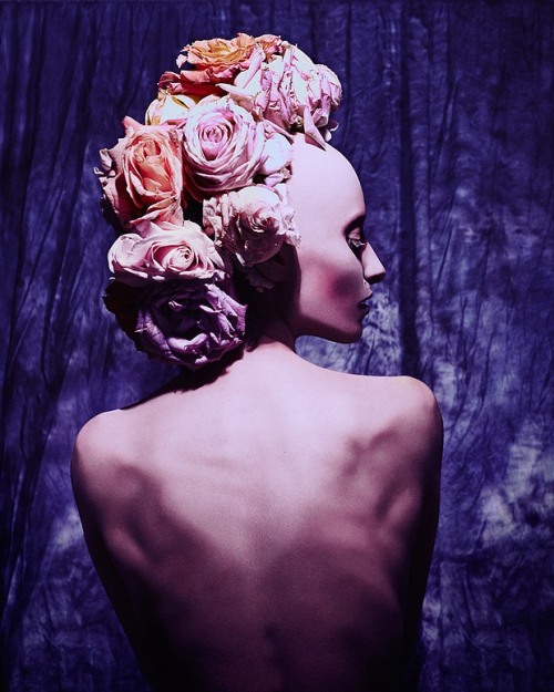 Flowerscans by Elizaveta Porodina Source: http://www.inspirefirst.com/2014/02/06/flowerscans-elizave