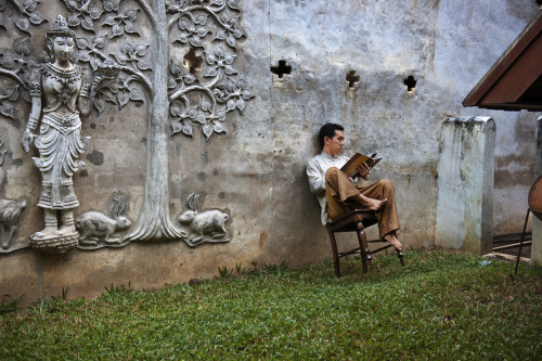 stevemccurrystudios:“We read to know we’re not alone.” - William Nicholson, S