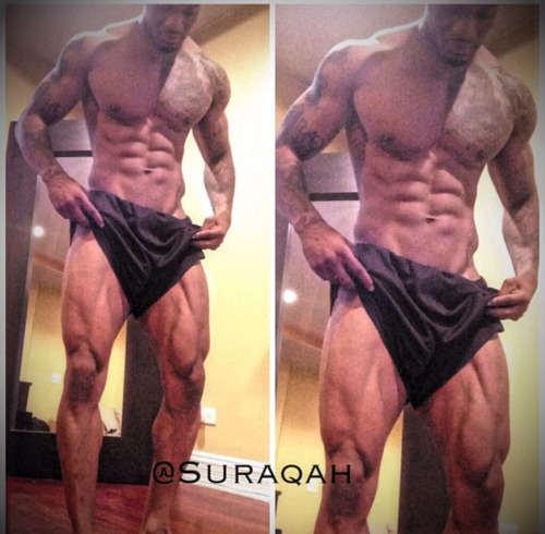 Porn photo goaltobeswole:  More instagram muscle   SURAQAH