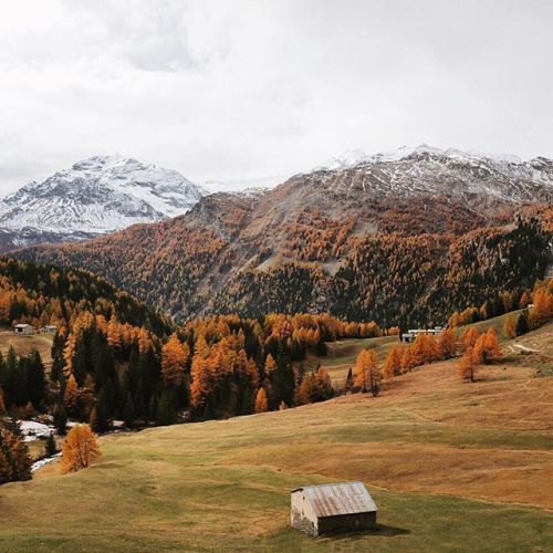 melodyandviolence:  by   nicolehunziker   