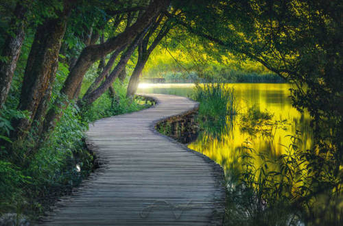 abismo-sideral:Plitvice Lakes national park in CroatiaImage Credit: Beno Saradzic