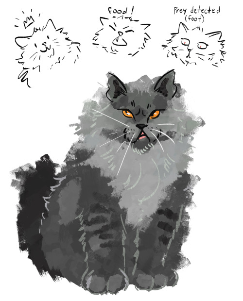 I live for modern MDZS AUs where Baxia is a massive terror cat and Nie Mingjue’s little prince