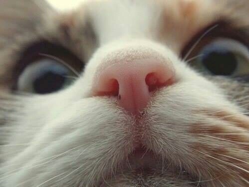 ただ、君を愛してる💕