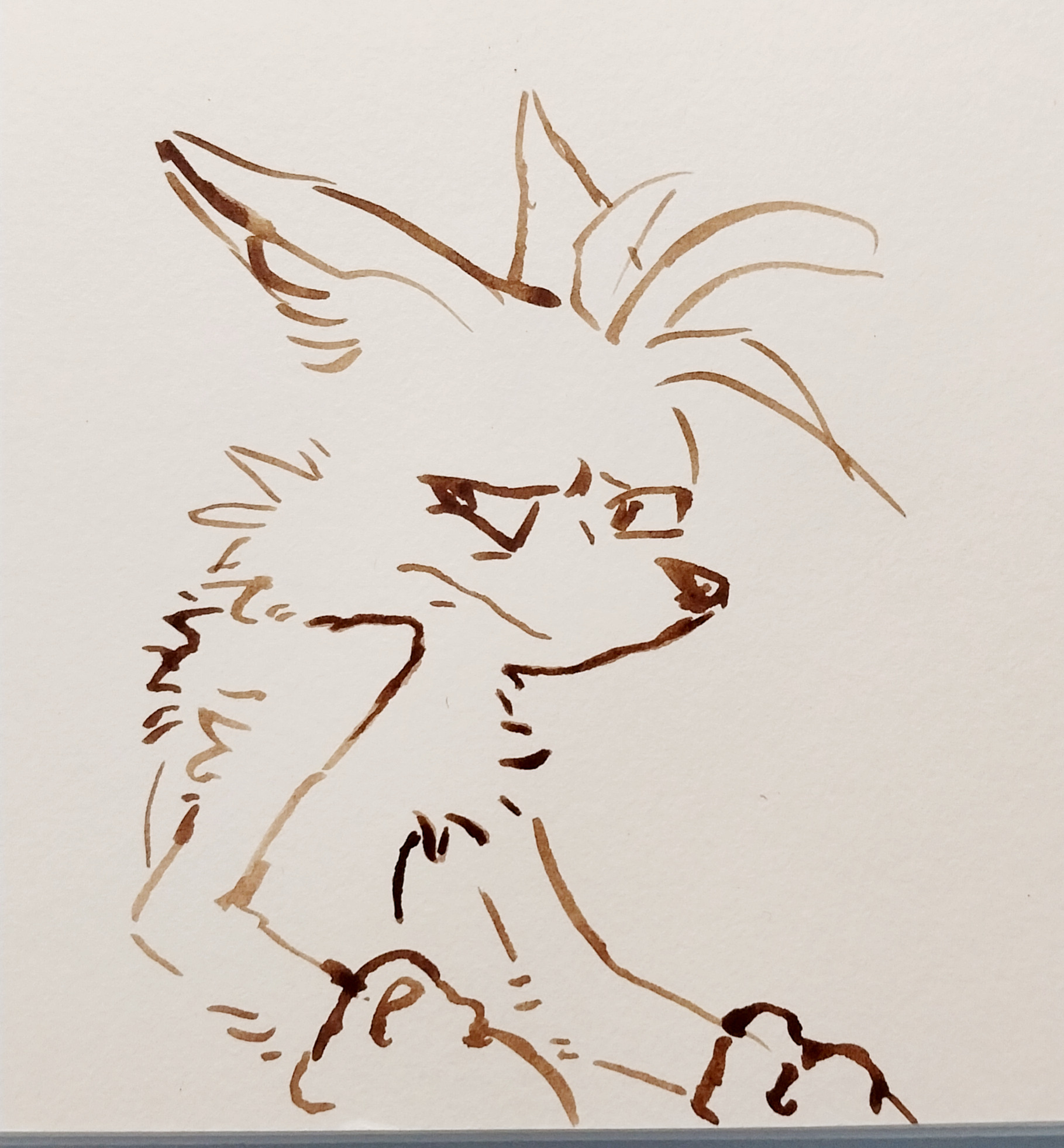 studioboner:studioboner:studioboner:accidently drew the most “calvin and hobbes”-esque teen Tails ive ever seen and im in awe and also seething in anger i know my ass wont be able to replicate it“oh no i put too much brown in the pan