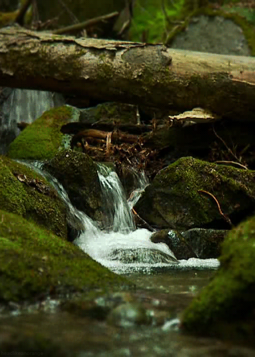 hippieseurope:there is nothing more trippy than nature..