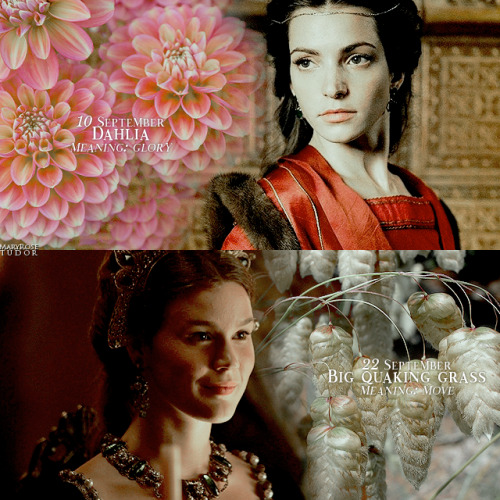 mary tudor