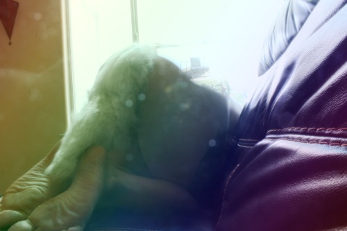 buphotography:  Transparent Lean (This picture was weird and I wasn’t going to edit it but I thought