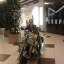 brandon0530