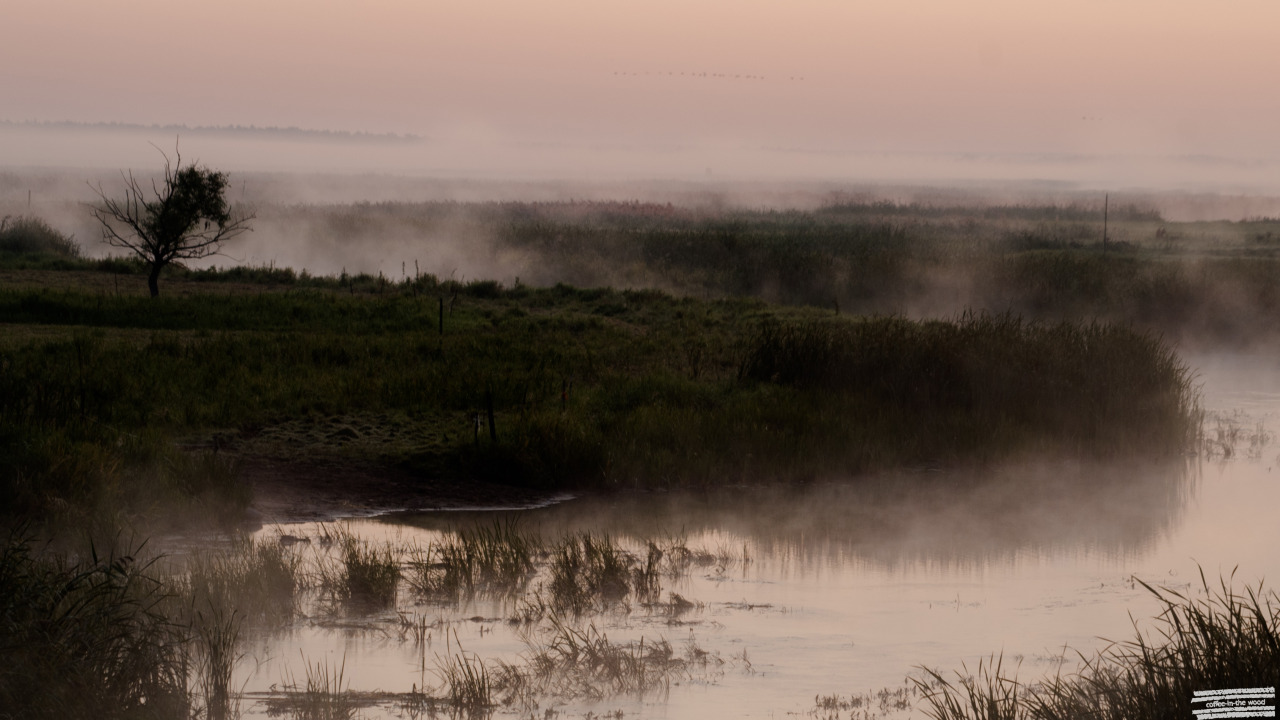 Biebrza river - polish jungle ;)