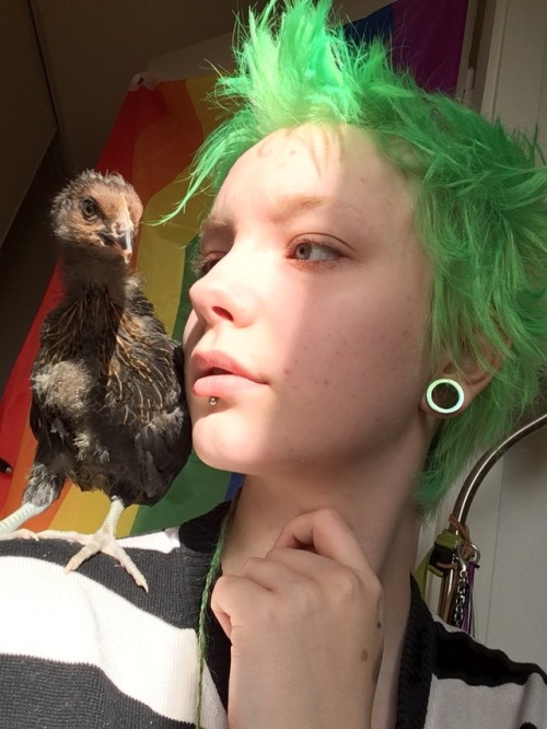 lowkeystillsleeping: She looks like a lil raven, I look like a lil angel