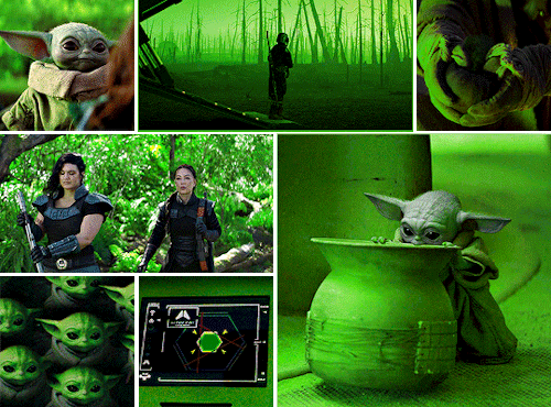 robintunney:“THIS IS THE WAY.” [insp.]