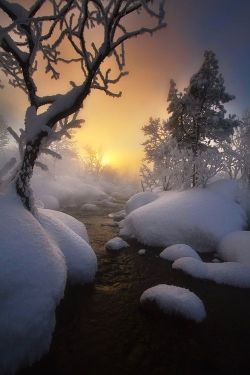 bluepueblo:  Snow Stream, Finland photo via