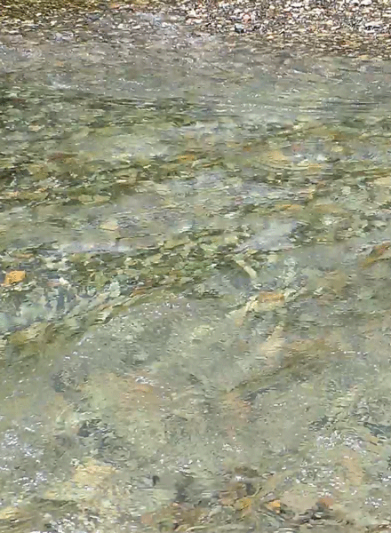 rivermusic:  Convergence gif by rivermusic, 2016 