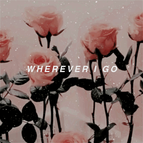 gentlemanlyrics: sweet creature // harry styles