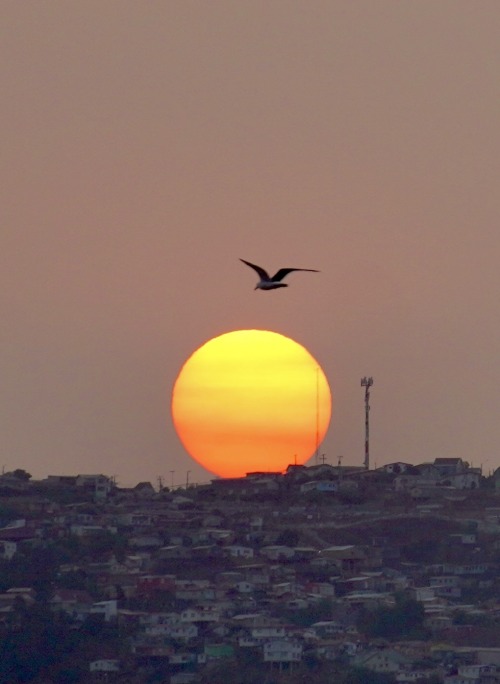 Valparaiso