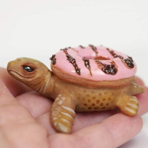 maidarlingdesigns:This is a donut turtle, obviously! It will be available soon and trust me, there w