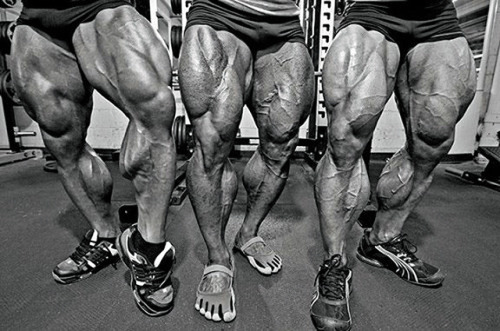 Erik Fankhouser, Jeff Long, And Ben Pakulski Displaying Their Grotesquely Pumped, Roided, And Vascular