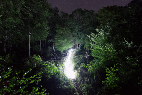 itscolossal:Streaks of Light Illuminate Hungarian Forests During a Full Moon by David Lados