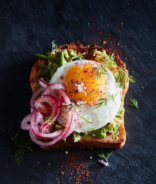 collectorandco:avocado toast / williams sonoma