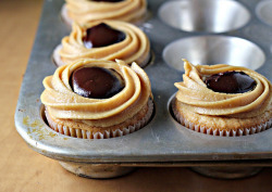 foodopia:  peanut butter and jelly cupcakes with peanut butter chocolate ganache: recipe here 