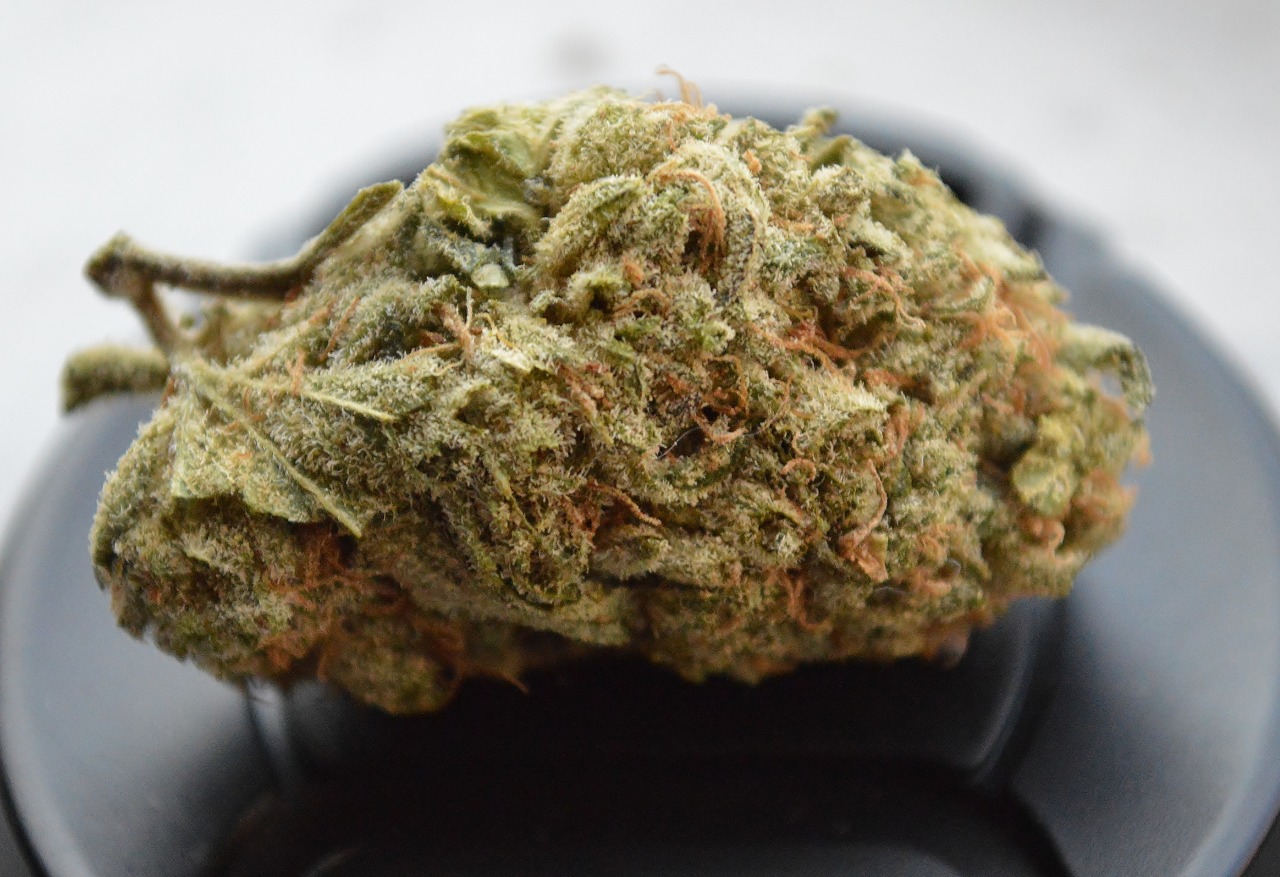 wynn1ng:  NY Diesel, no flash. Happy macro monday to every single one of my lovely