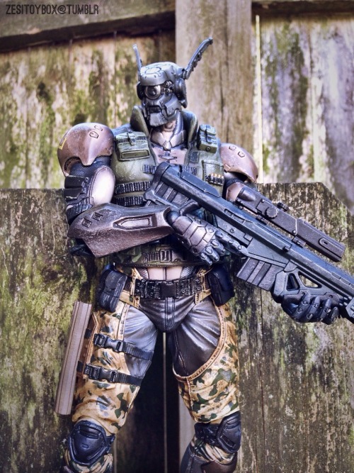 zesitoybox:Play Arts Kai Briareos