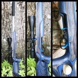 megatronthefett:  My Custom 10/22 build with