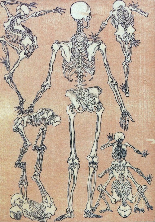 deathandmysticism:Kawanabe Kyōsai, Skeletons, 1881