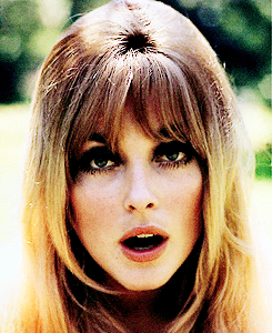 normajeanebaker:  Sharon Tate photographed