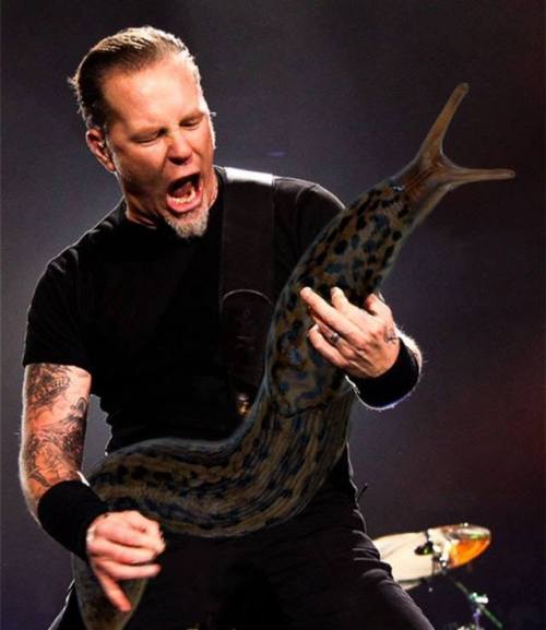 thartist72:   The face of guitarists makes much more sense when they hold giant slugs!  