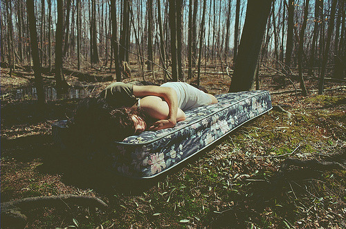 where the wild things are