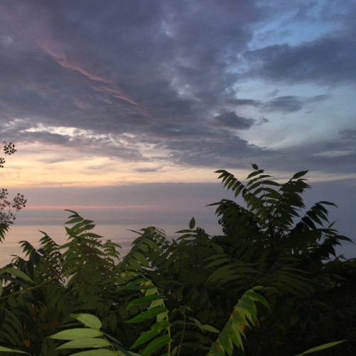 omniprescent:Lookout Park