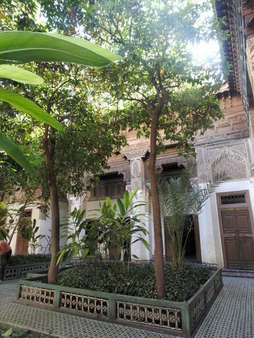 wildestbabe:  Marrakech was so pretty