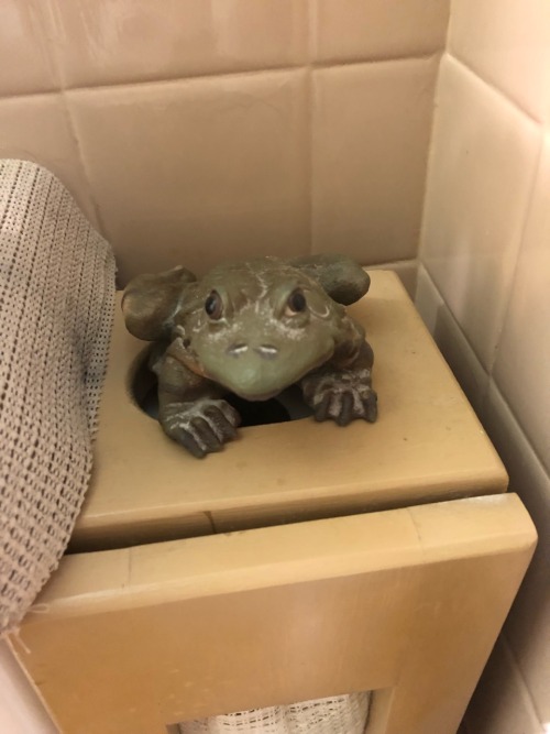 kewlaidbih: a rating of all the frogs in my neighbors’ frog-themed bathroom very round and good! his face shows an emotion that i can’t quite describe. 10/10 here we have an arts and crafts frog! he has a nice figure but his lack of eyes is unsettling.