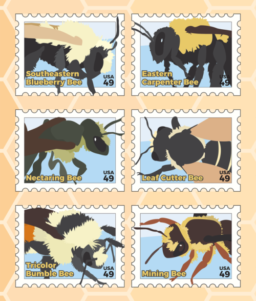llimus:Part of a stamp project I did for school a couple semesters ago! We had to pick a topic &