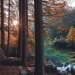 conexion-literaria:㋡🥀Magical and beautiful nature...