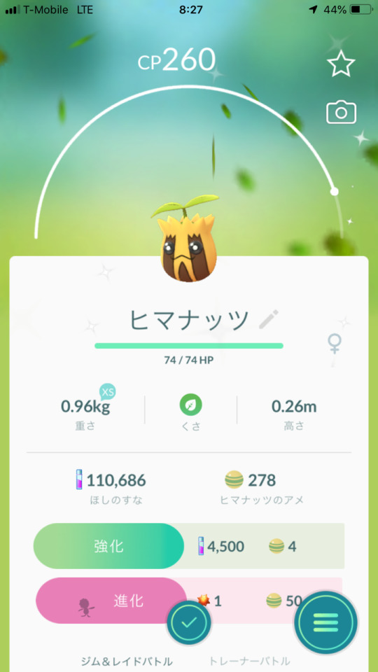 キマワリ Explore Tumblr Posts And Blogs Tumgir