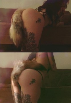 strawberries-porn: fox-tailed photocollages