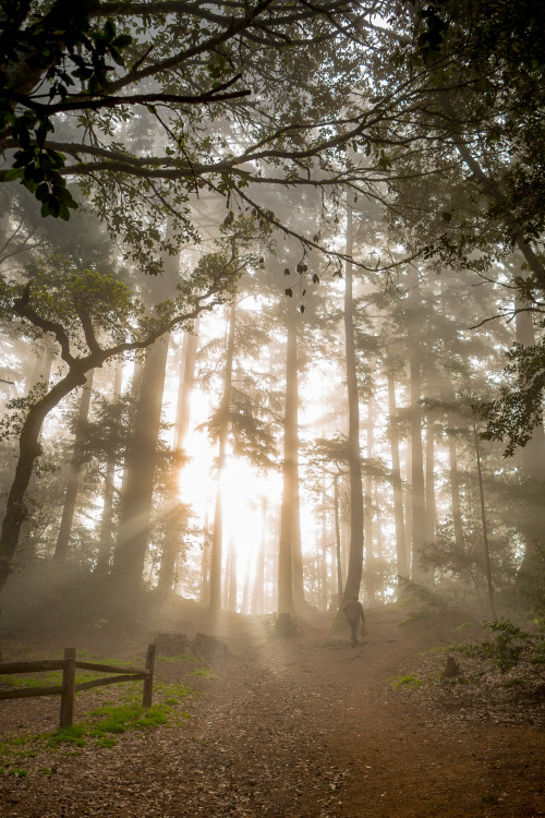 matphotography: Rays for days.