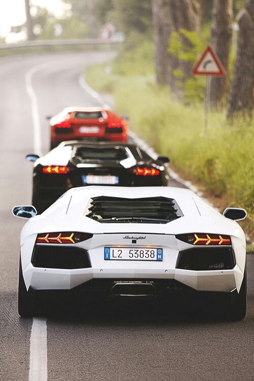 young-supreme-hype:  diamond-dope-shit:  dope-kidd-junior:  dope-kidd-junior/tumblr   Follow for more dope stuff and a promo to 26k!.  -  http://young-supreme-hype.tumblr.com/ △△♕△△follow me for more hype blog△△♕△△ just ask for